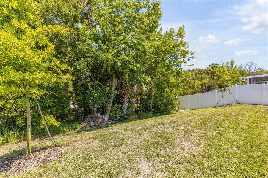 Natural landscape and outdoor views near  in New Smyrna Beach (Image 42).