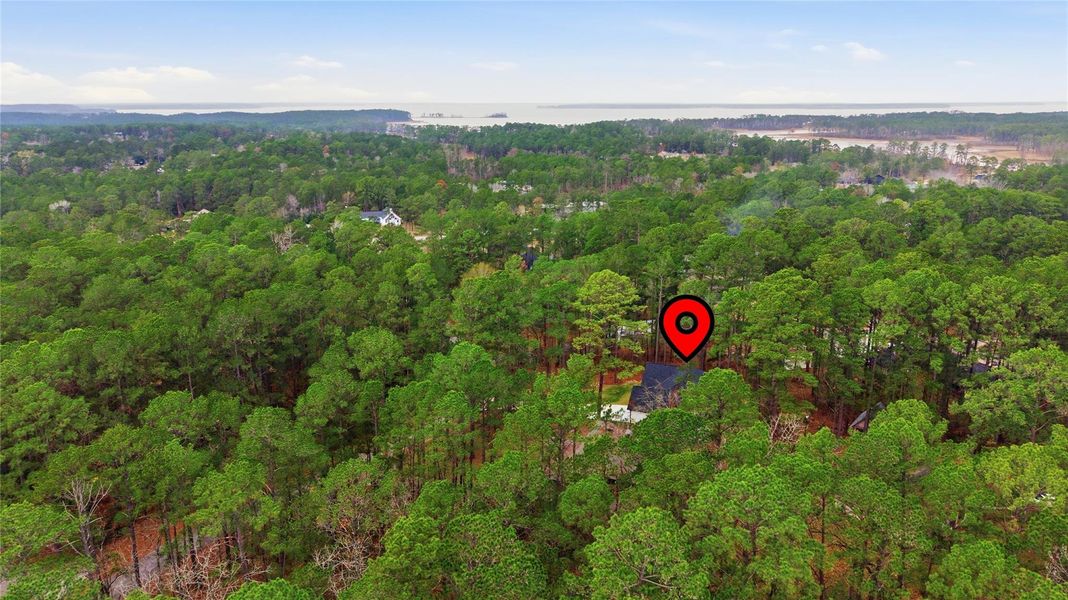 Natural landscape and outdoor views near  in Brookeland (Image 31).