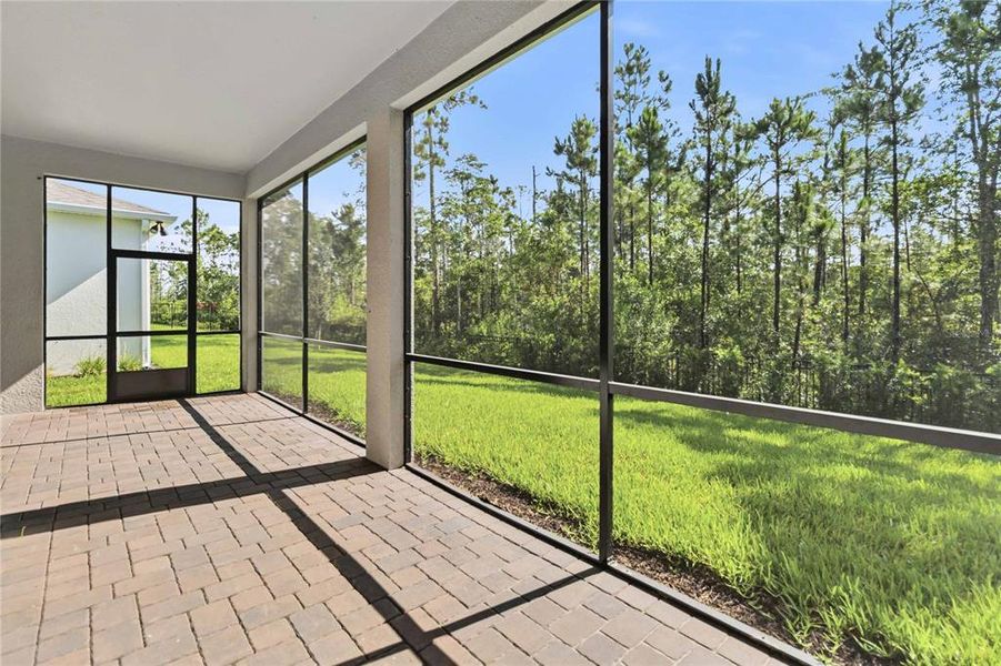 Exterior details and patio area of a home in Del Webb Sunbridge, St. Cloud (Image 31).