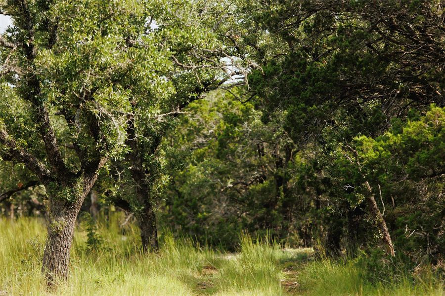Natural landscape and outdoor views near in Johnson City (Image 23). Natural landscape and outdoor views near in Johnson City (Image 23).