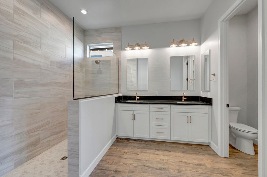Owner's Bath