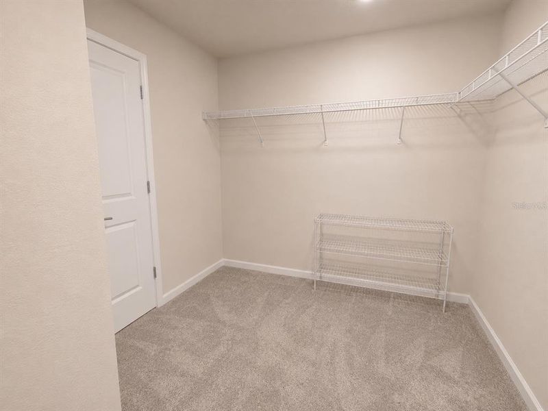 Spacious, unfurnished interior of a new home in Winding Meadows, Apopka (Image 24).