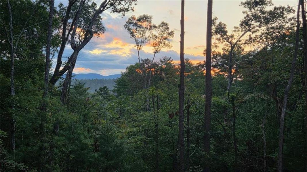 Natural landscape and outdoor views near  in Ellijay (Image 60).