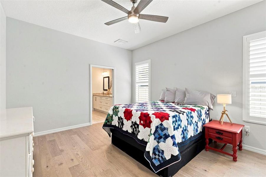 Furnished interior view inside a new home in , Dunedin (Image 37).