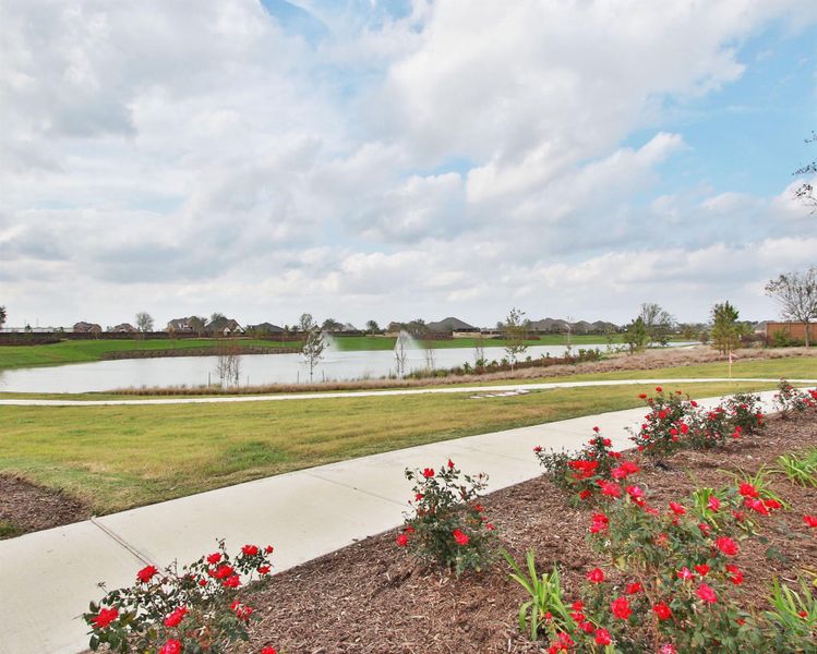 Community amenities in Meridiana, Manvel (Image 7).