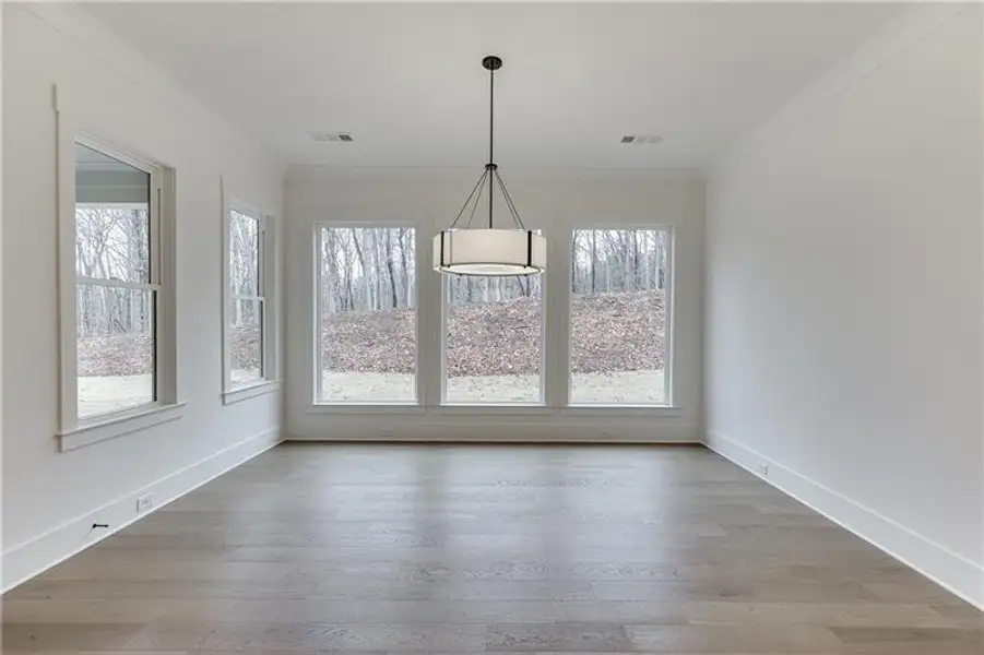 Spacious, unfurnished interior of a new home in , Pendergrass (Image 34).
