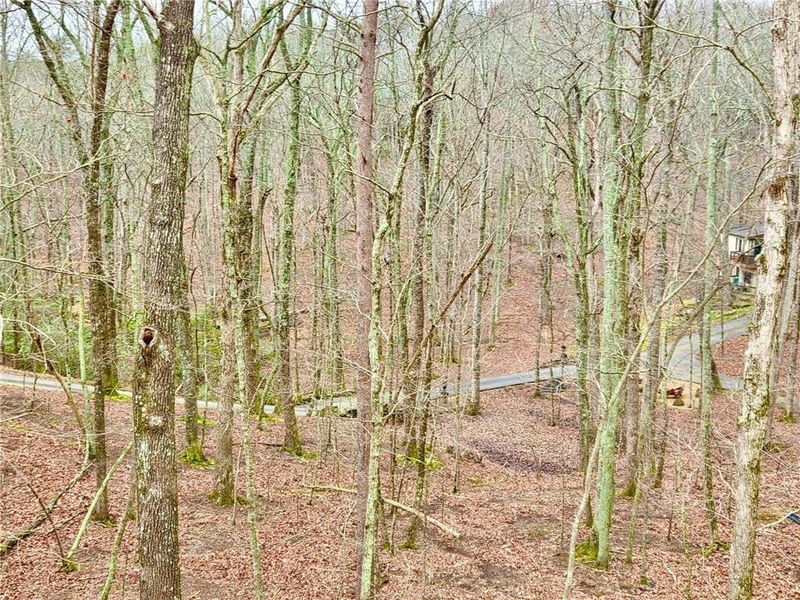 Natural landscape and outdoor views near  in Waleska (Image 32).