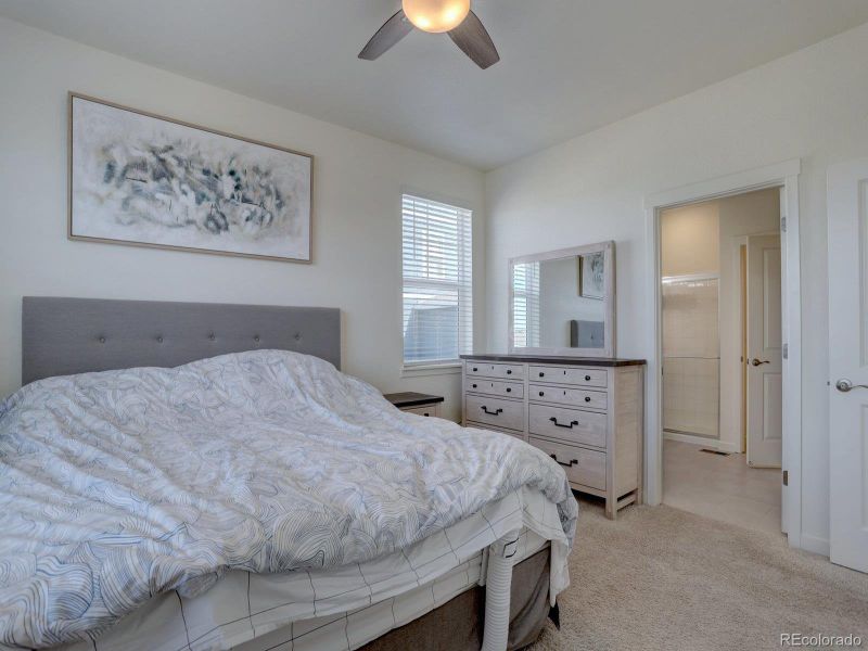 Furnished interior view inside a new home in Crystal Valley Pine Ridge, Castle Rock (Image 9).