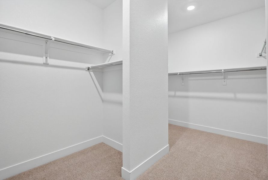 Spacious, unfurnished interior of a new home in Macanta, Castle Rock (Image 25).