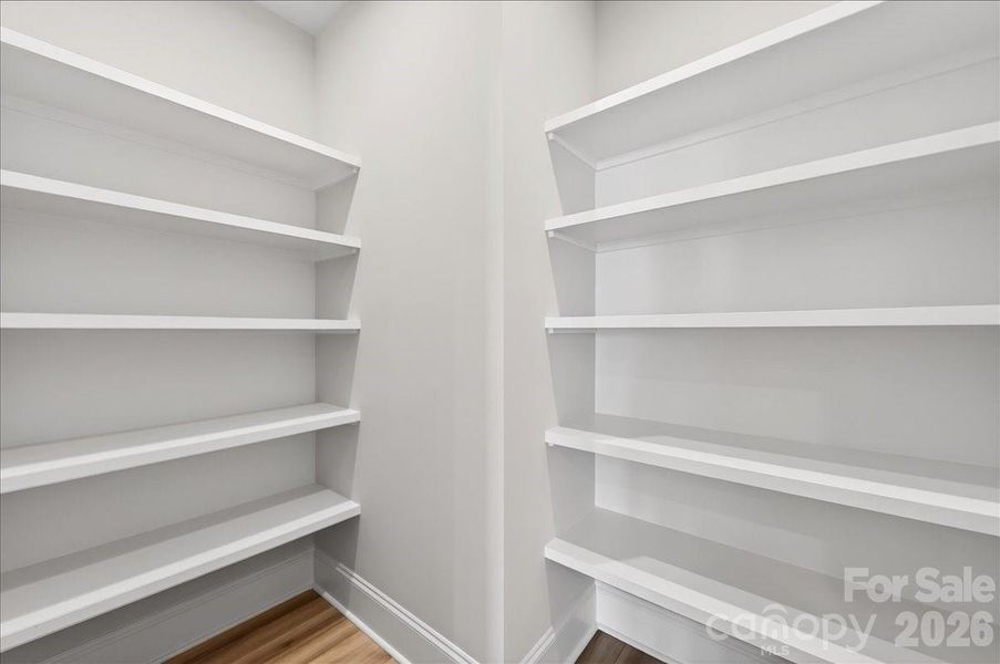 Built-in Kitchen Pantry
