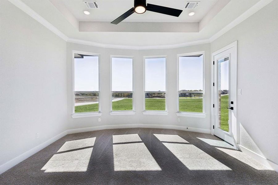 26-121Swan_026 26-121Swan_026