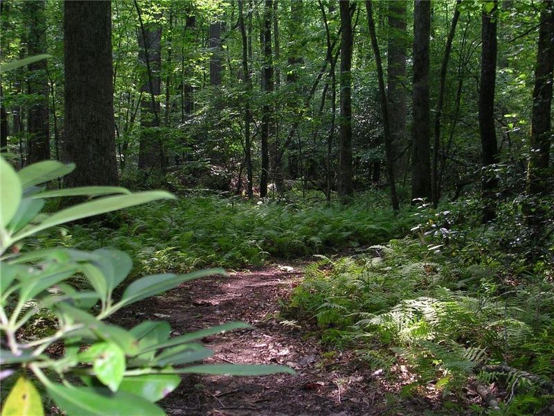 Natural landscape and outdoor views near in Waleska (Image 36). Natural landscape and outdoor views near in Waleska (Image 36).
