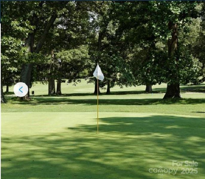 Area Photo - Tee off close to Home - Live near Cowan's Ford & Westport Golf Clubs and enjoy golf anytime.