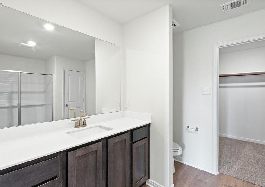 The master bathroom has a spacious vanity space.