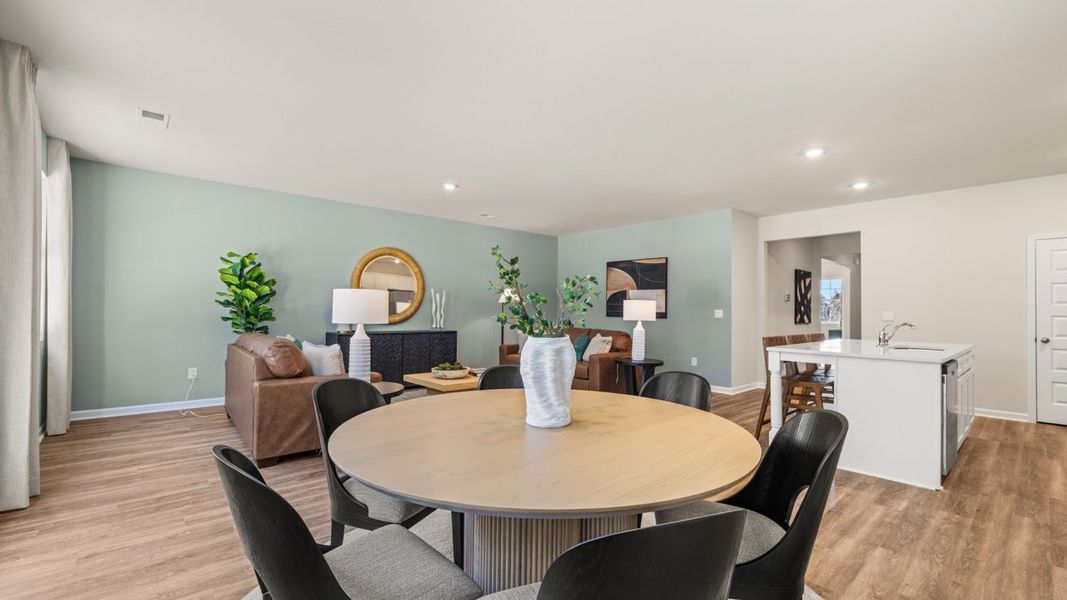 Representative furnished interior of a home built from the Aria by D.R. Horton in Newton Bridge Crossing, Athens (Image 12).