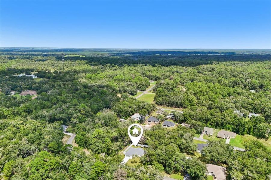 Natural landscape and outdoor views near  in Citrus Springs (Image 45).
