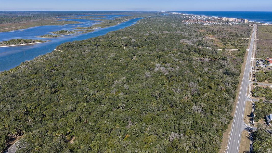 Natural landscape and outdoor views near Colbert Landings in Palm Coast (Image 88).
