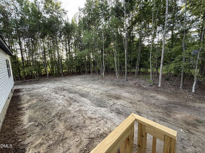 Backyard
