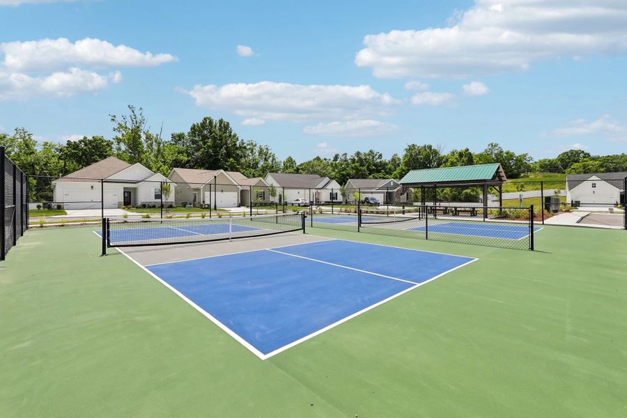 Pickleball Courts
