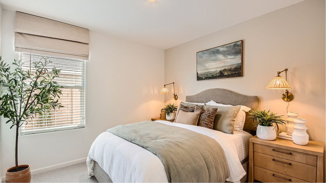 2569 Lilac Bed3 F1 2569 Lilac Bed3 F1