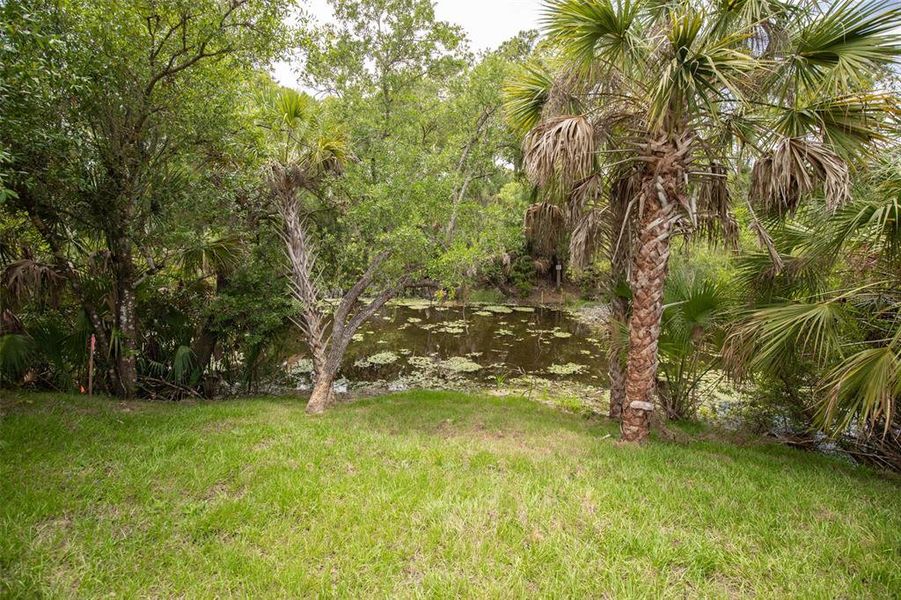 Natural landscape and outdoor views near in North Port (Image 54). Natural landscape and outdoor views near in North Port (Image 54).