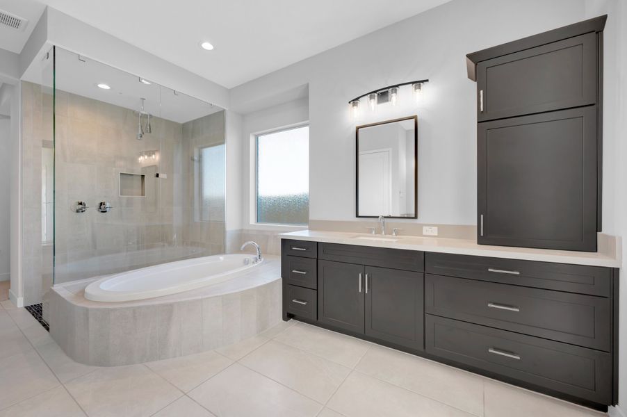 Owner's Bath