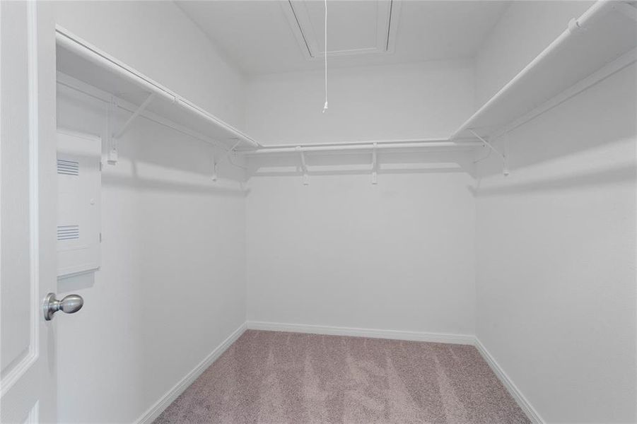 Look at this immaculate closet! With high shelving, multiple rows to hang clothing, you are sure to have enough room for all your belongings!