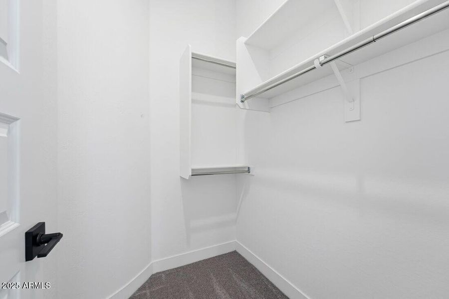 4103 E BRITTLEBUSH Lane - Ready Now!