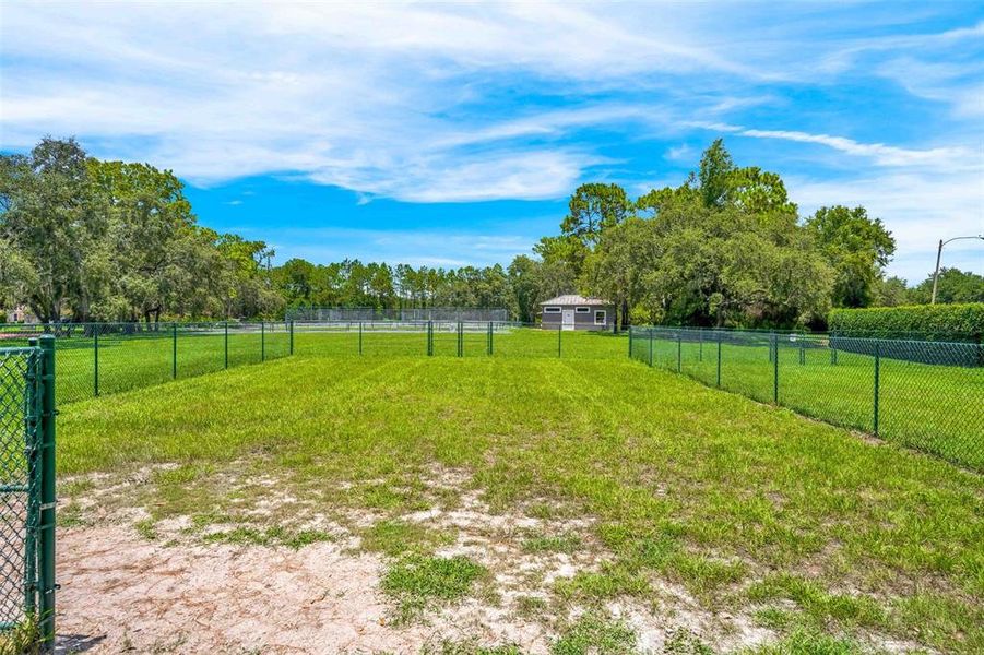Natural landscape and outdoor views near  in Weeki Wachee (Image 62).