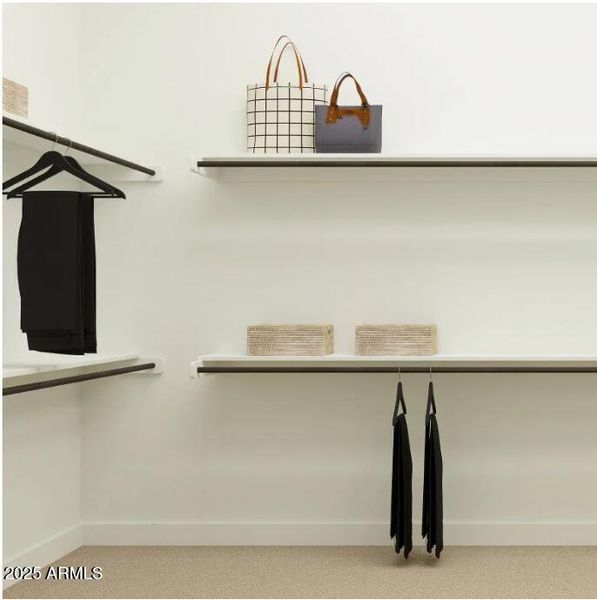 Owner's Walk in Closet