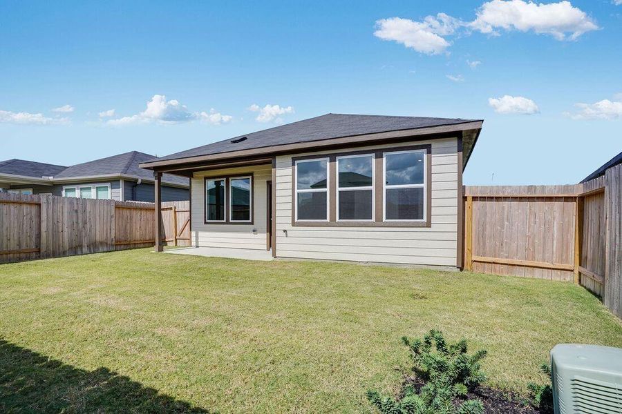 21915 Red Lantana ~ Ready Now 21915 Red Lantana ~ Ready Now