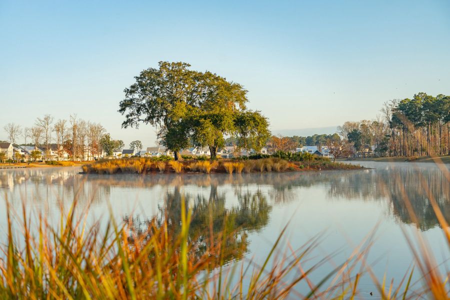 Image 48 of a home in Riverside at Carolina Park.