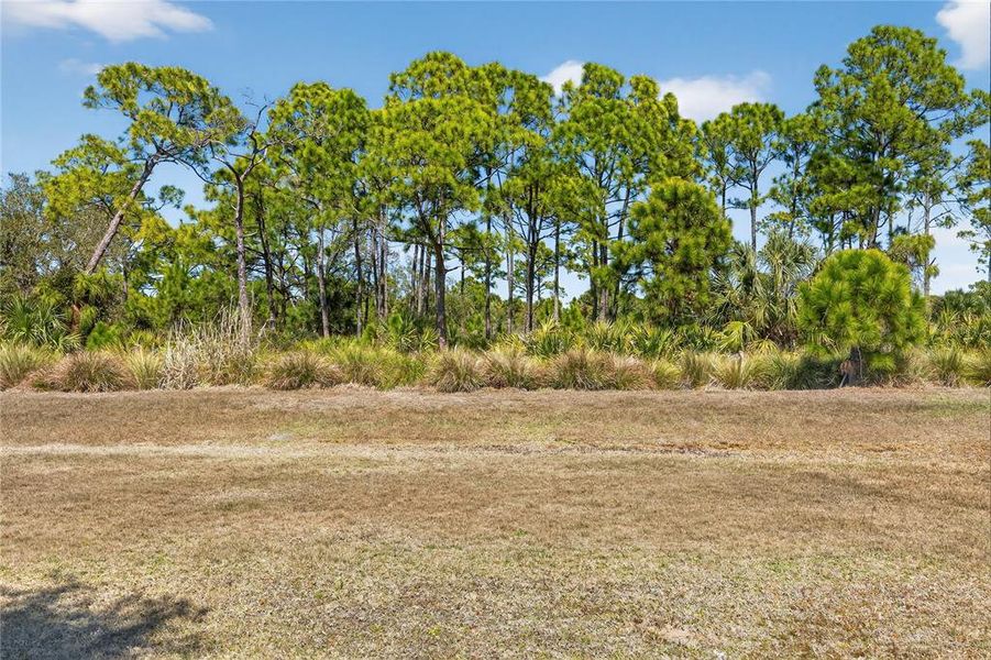 Natural landscape and outdoor views near  in Nokomis (Image 80).