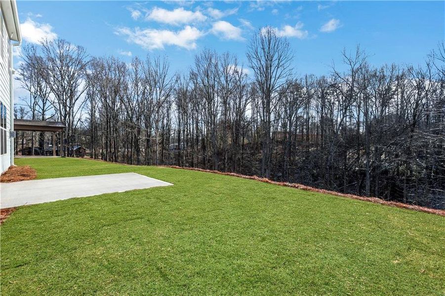 Exterior details and patio area of a home in Villas at Dawsonville, Dawsonville (Image 3). Exterior details and patio area of a home in Villas at Dawsonville, Dawsonville (Image 3).