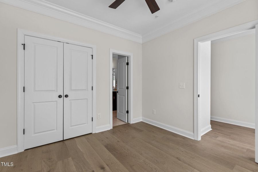 55-web-or-mls-2N6A5096