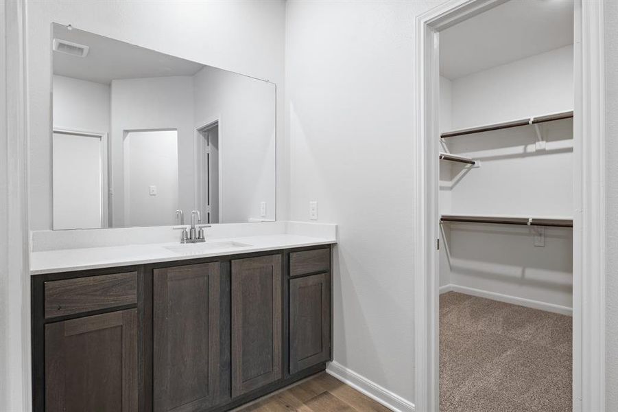 Bathroom featuring vanity, a walk in closet, dark carpet, and dark wood-type flooring Bathroom featuring vanity, a walk in closet, dark carpet, and dark wood-type flooring