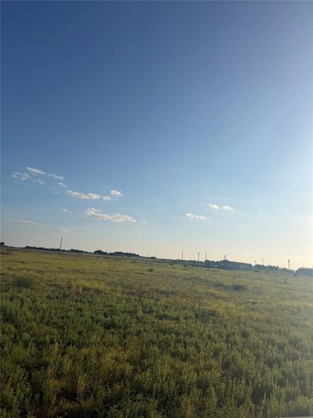 An open grassy field stretches toward the horizon under a vast blue sky.