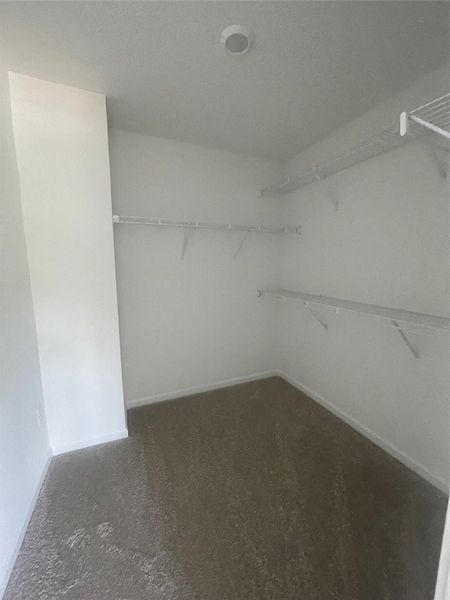 Spacious, unfurnished interior of a new home in Springwood Grove, Central (Image 30). Spacious, unfurnished interior of a new home in Springwood Grove, Central (Image 30).