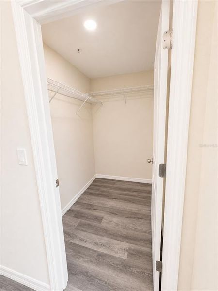 Spacious, unfurnished interior of a new home in , Tampa (Image 24).