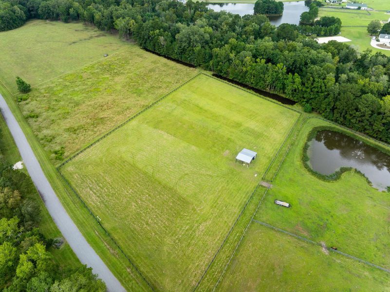 Natural landscape and outdoor views near  in Ravenel (Image 41).