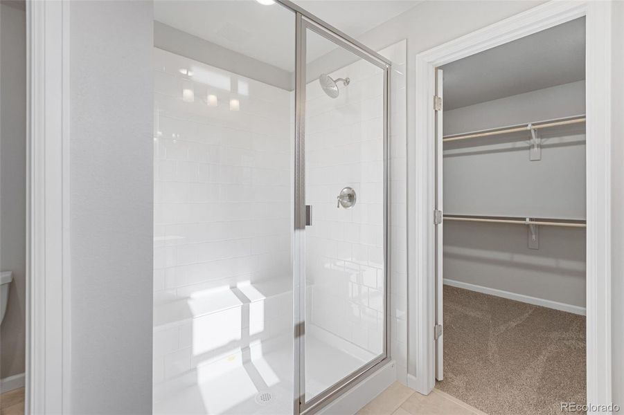 Spacious, unfurnished interior of a new home in Cherry Meadows, Brighton (Image 24).