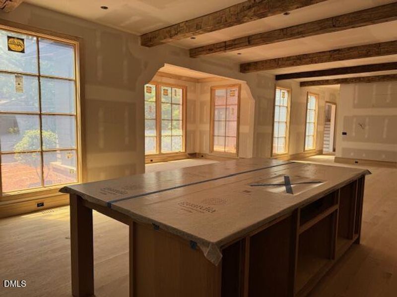 1500 Scales St, Kitchen Island. jpeg