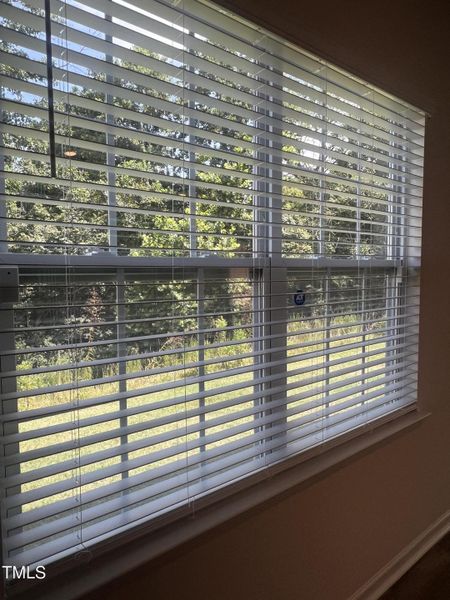 IMG_1177 2 IMG_1177 2