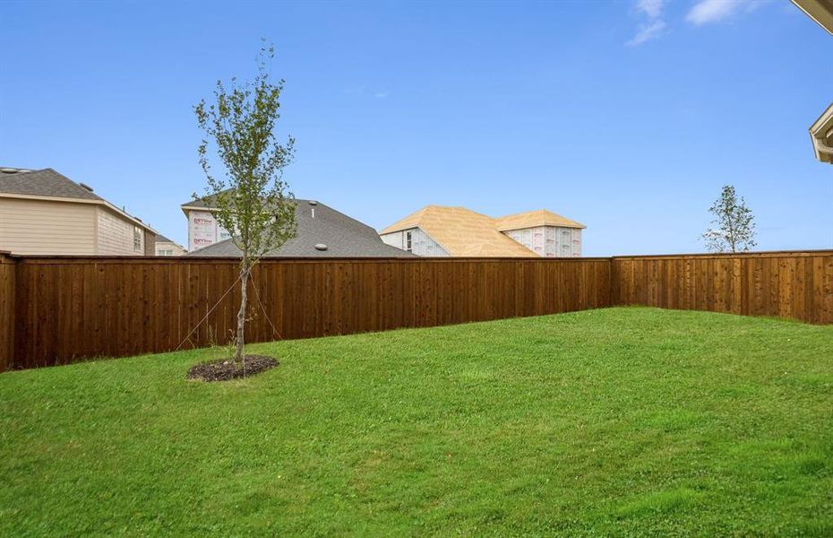 Spacious backyard Spacious backyard