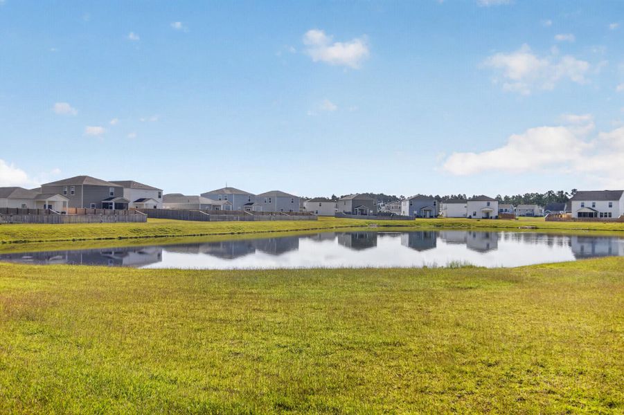 Natural landscape and outdoor views near Lindera Preserve at Cane Bay Plantation in Summerville (Image 39).