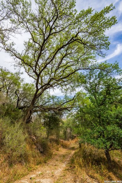 Natural landscape and outdoor views near in Crystal City (Image 19). Natural landscape and outdoor views near in Crystal City (Image 19).