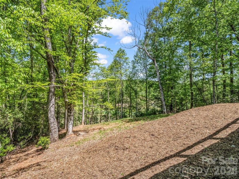 Natural landscape and outdoor views near  in Lake Lure (Image 38).