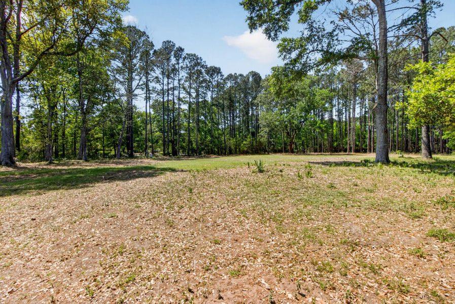 Natural landscape and outdoor views near in Awendaw (Image 21). Natural landscape and outdoor views near in Awendaw (Image 21).