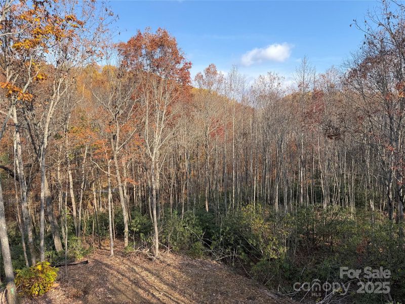 Natural landscape and outdoor views near  in Black Mountain (Image 34).