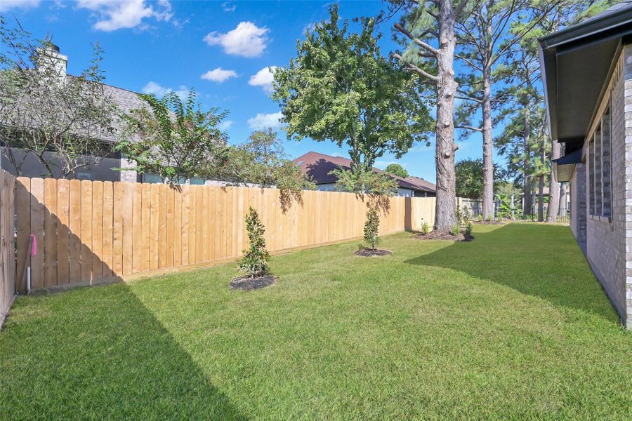 Backyard provides the ideal space for play, pets, or future pool addition Backyard provides the ideal space for play, pets, or future pool addition